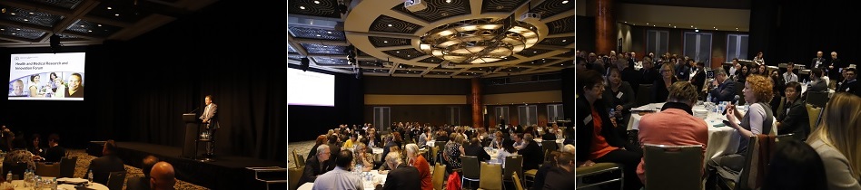 Images from Strategy consultation